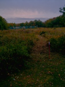 Banner, leaving day, with path