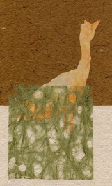 chick orange in green grass