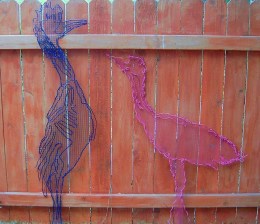 M. Sunday, Rookery, Preacher and Chick